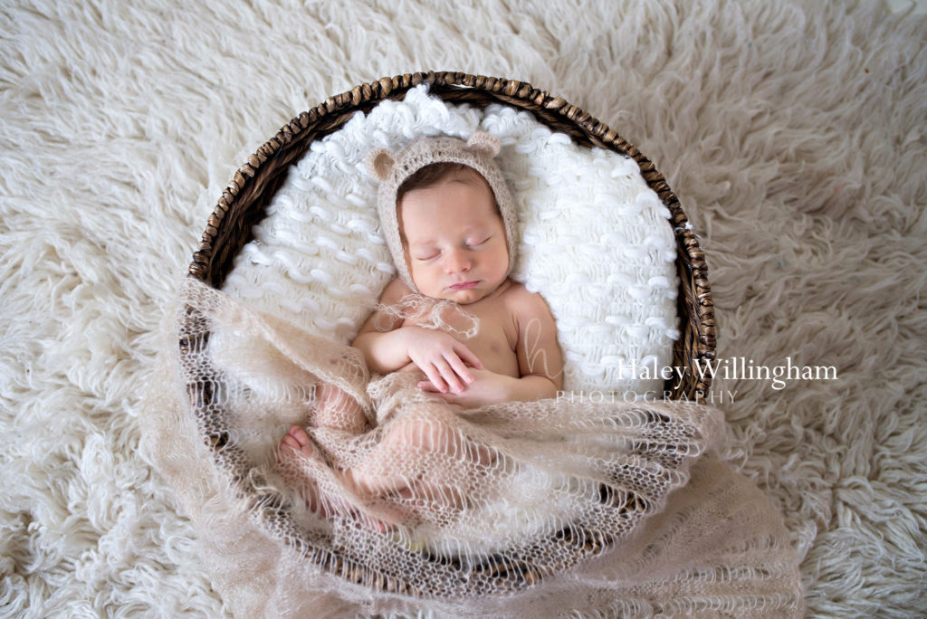 Martinsburg WV Newborn Photographer