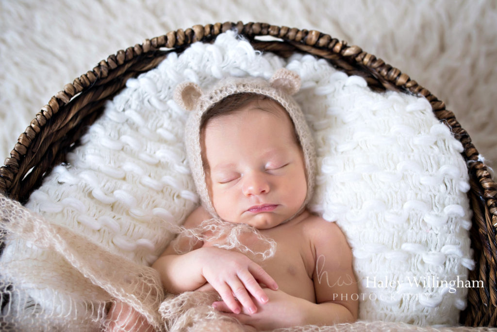 Martinsburg WV Newborn Photographer