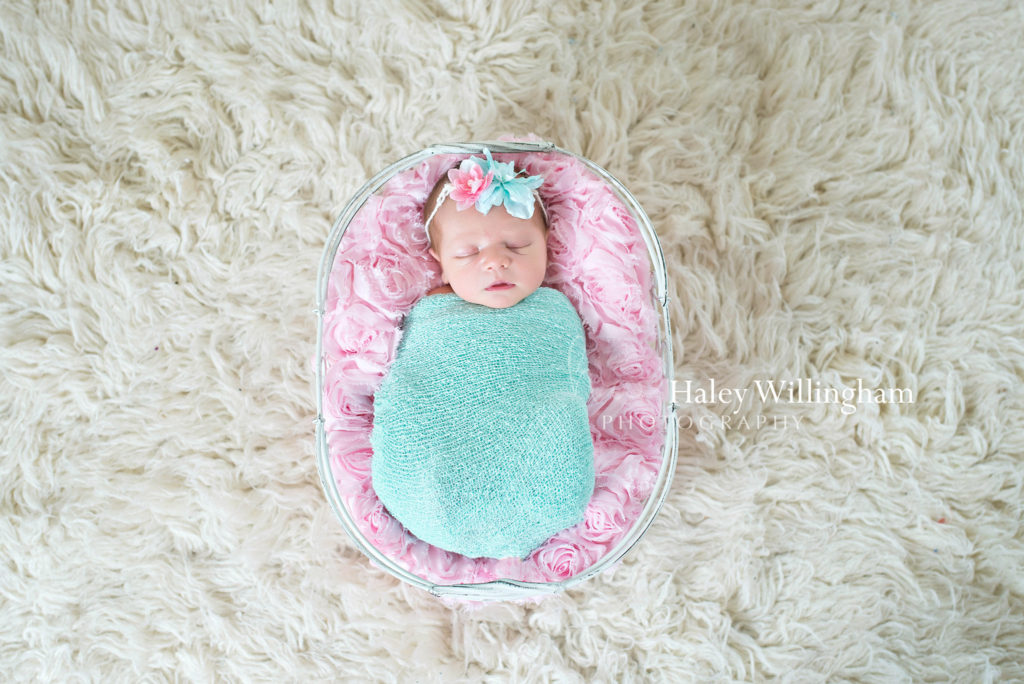 Martinsburg WV Newborn Photographer