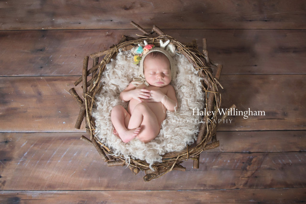 Martinsburg WV Newborn Photographer