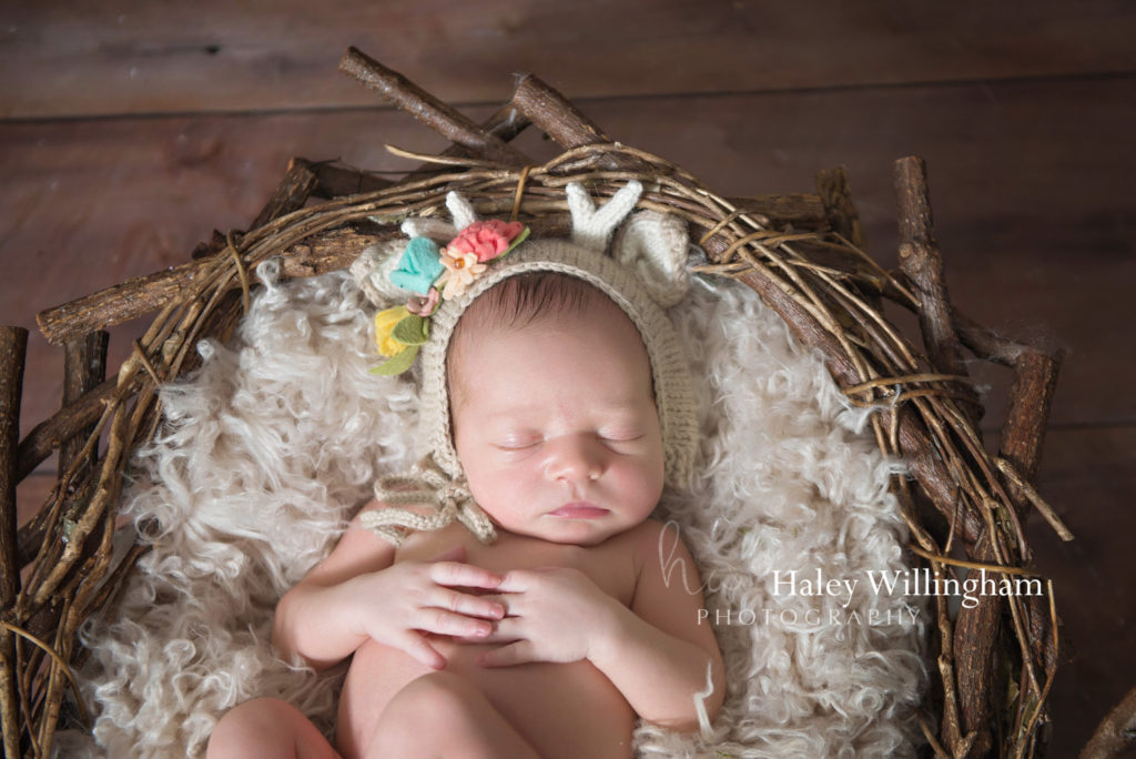 Martinsburg WV Newborn Photographer