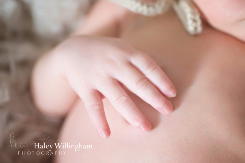 Martinsburg WV Newborn Photographer