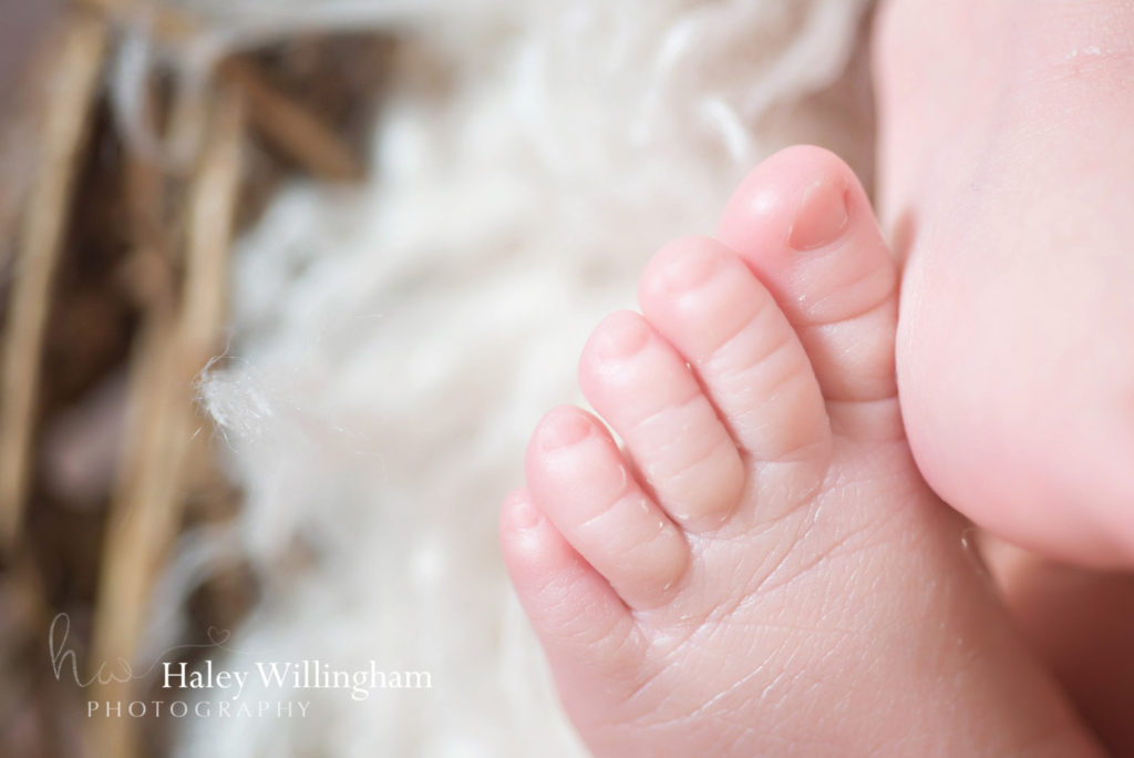 Martinsburg WV Newborn Photographer