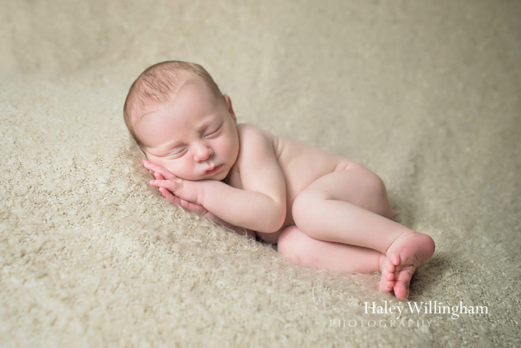 Charles Town WV Newborn Photographer