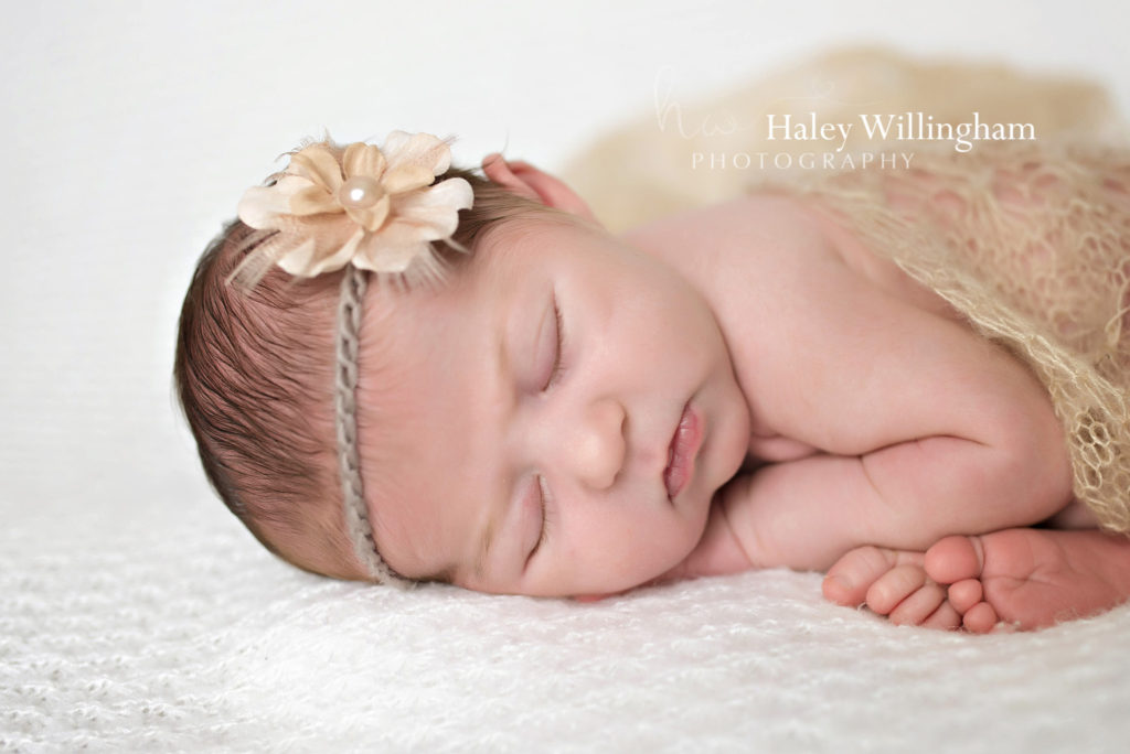 Martinsburg WV Newborn Photographer