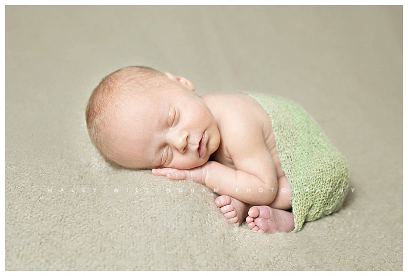 Winchester VA Newborn Photographer