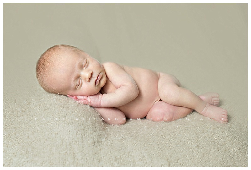 Winchester VA Newborn Photographer