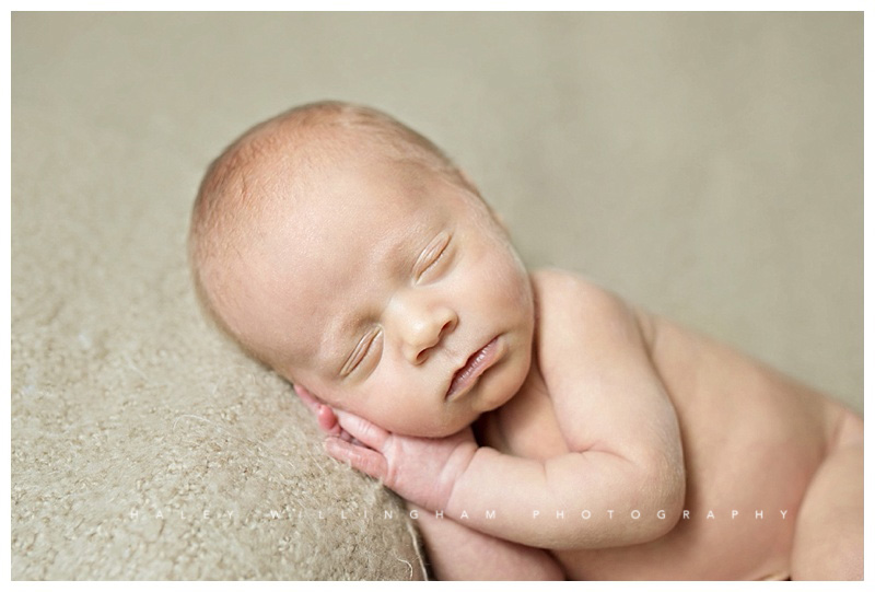 Winchester VA Newborn Photographer