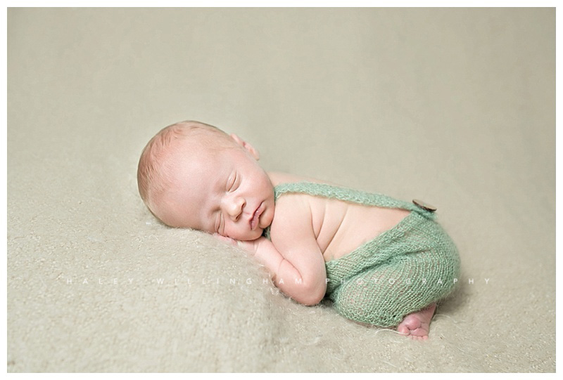 Winchester VA Newborn Photographer