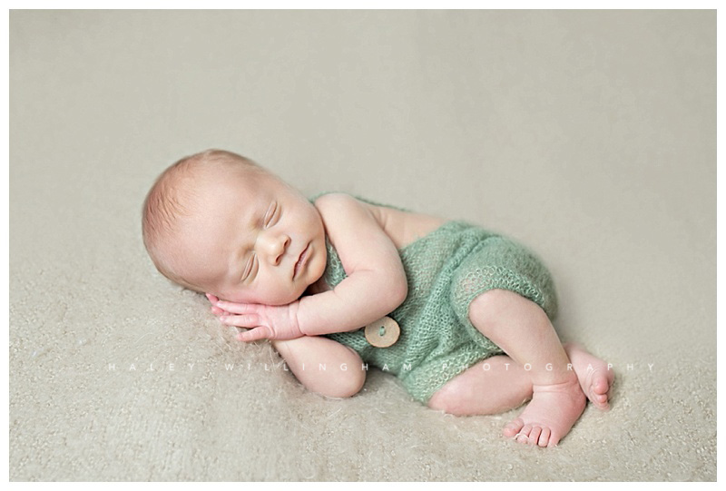 Winchester VA Newborn Photographer