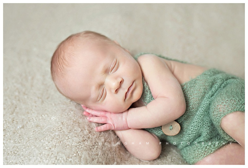 Winchester VA Newborn Photographer