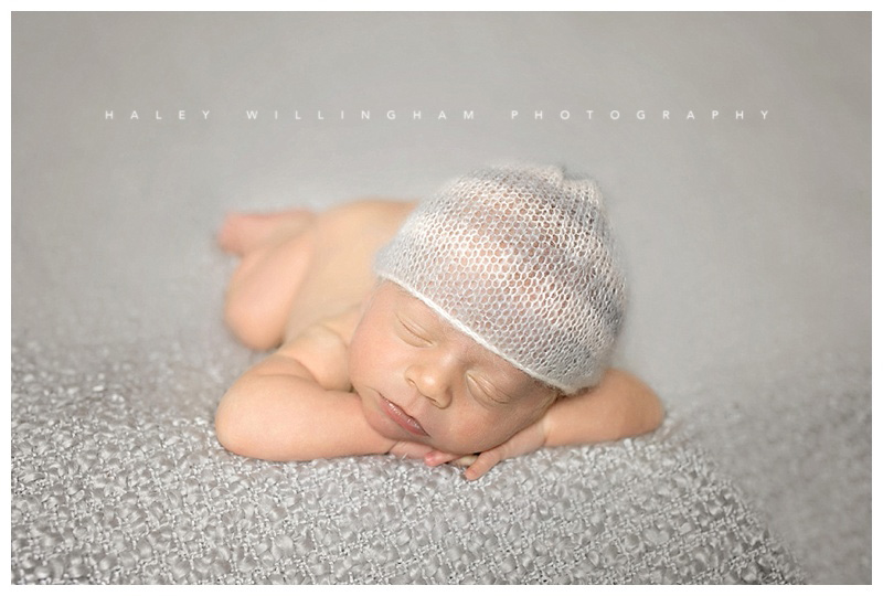 Winchester VA Newborn Photographer