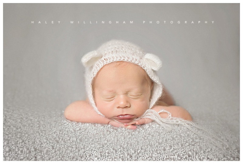 Winchester VA Newborn Photographer