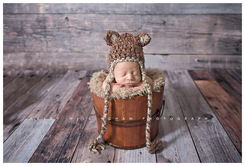 Winchester VA Newborn Photographer