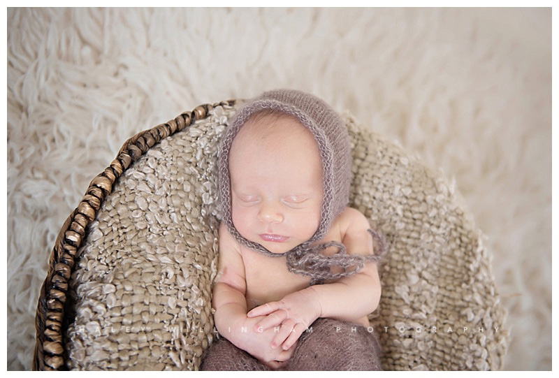 Winchester VA Newborn Photographer