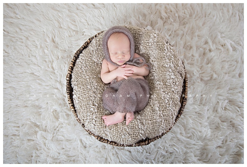 Winchester VA Newborn Photographer