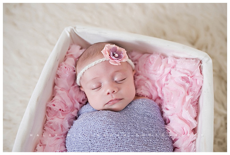 Shepherdstown WV Newborn Photographer