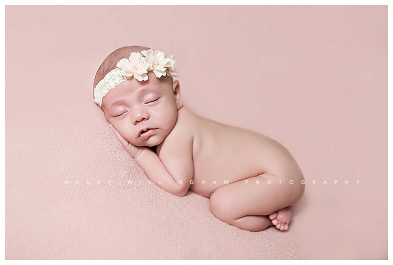 Shepherdstown WV Newborn Photographer