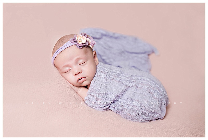 Shepherdstown WV Newborn Photographer