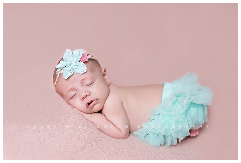 Shepherdstown WV Newborn Photographer