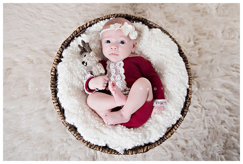 Shepherdstown WV Newborn Photographer