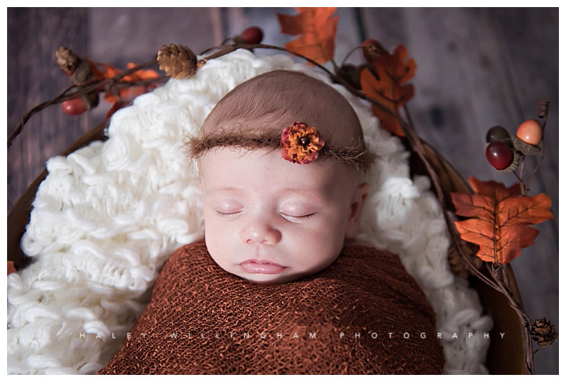 Shepherdstown WV Newborn Photographer