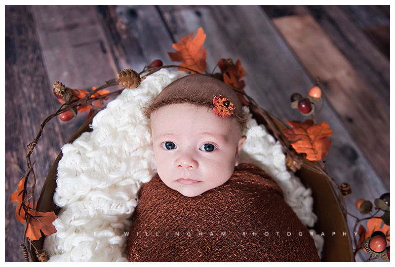 Shepherdstown WV Newborn Photographer