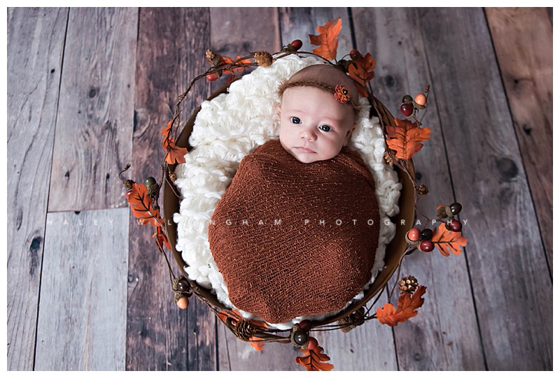 Shepherdstown WV Newborn Photographer