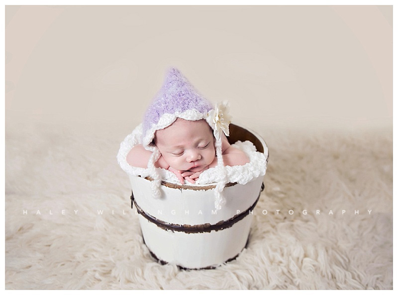 Shepherdstown WV Newborn Photographer