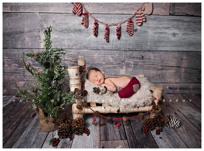 Charles Town WV Newborn Photographer