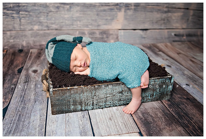 Charles Town WV Newborn Photographer