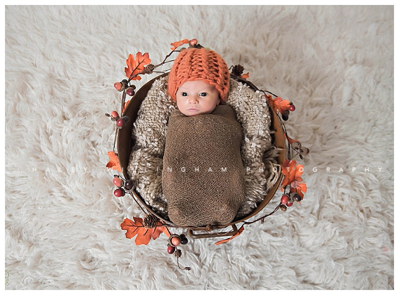 Charles Town WV Newborn Photographer