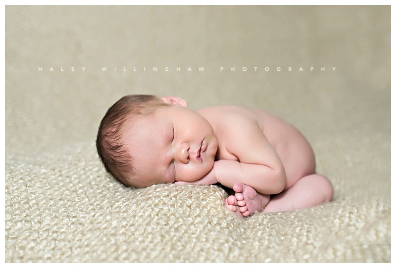 Frederick Maryland Newborn Baby Photographer