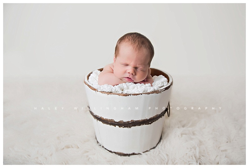 Frederick Maryland Newborn Baby Photographer