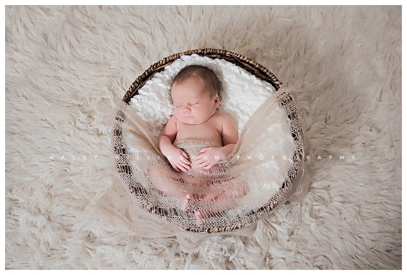 Frederick Maryland Newborn Baby Photographer