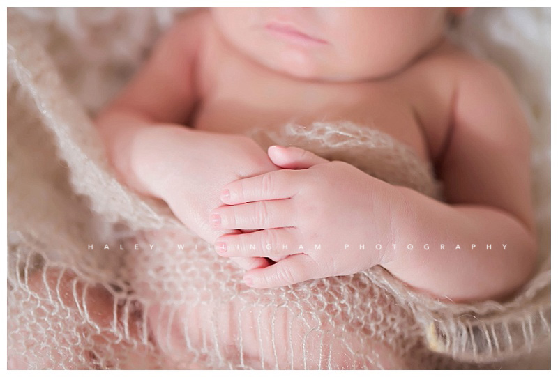 Frederick Maryland Newborn Baby Photographer