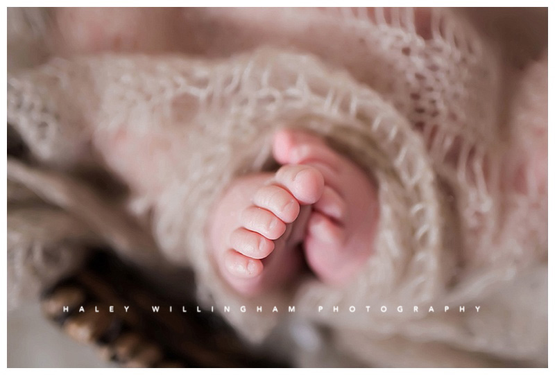 Frederick Maryland Newborn Baby Photographer