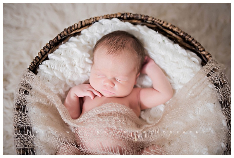 Frederick Maryland Newborn Baby Photographer