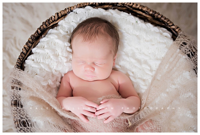 Frederick Maryland Newborn Baby Photographer