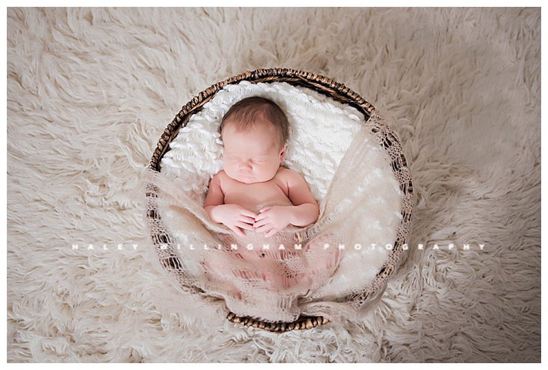 Frederick Maryland Newborn Baby Photographer