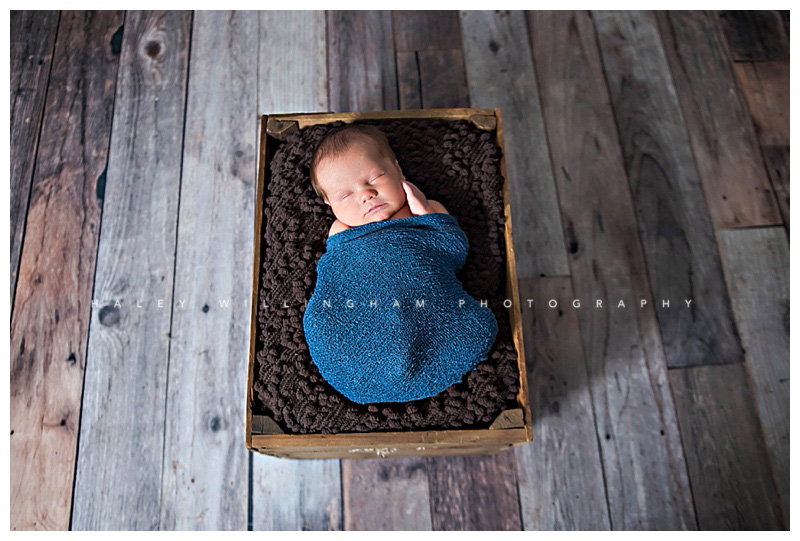 Frederick Maryland Newborn Baby Photographer