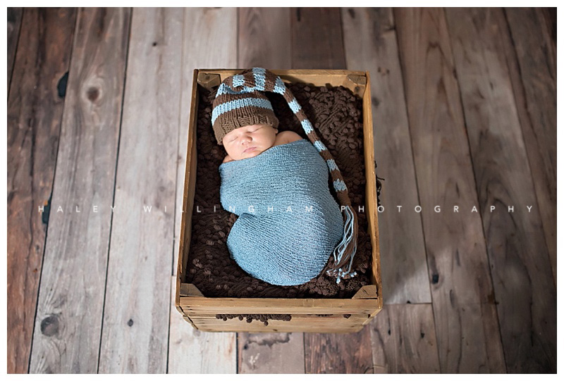 Winchester VA Newborn Photographer