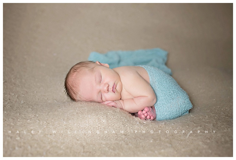 Winchester VA Newborn Photographer