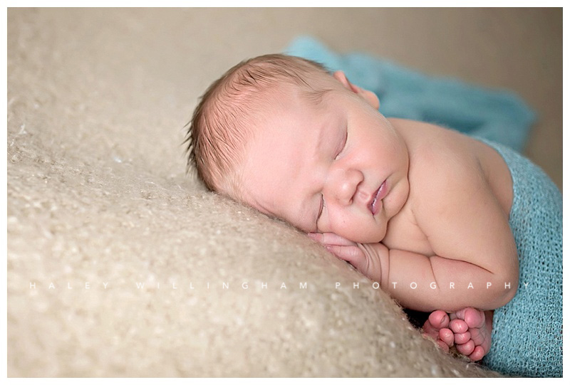 Winchester VA Newborn Photographer