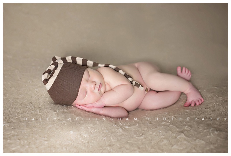 Winchester VA Newborn Photographer