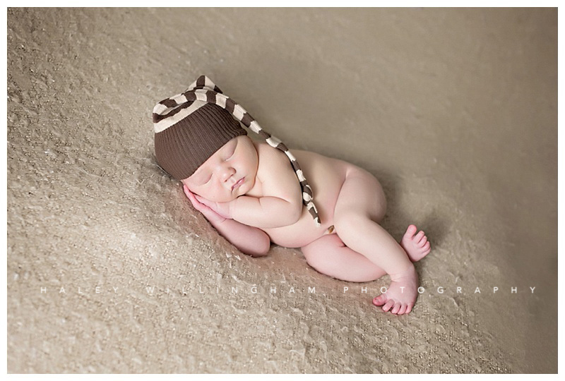 Winchester VA Newborn Photographer