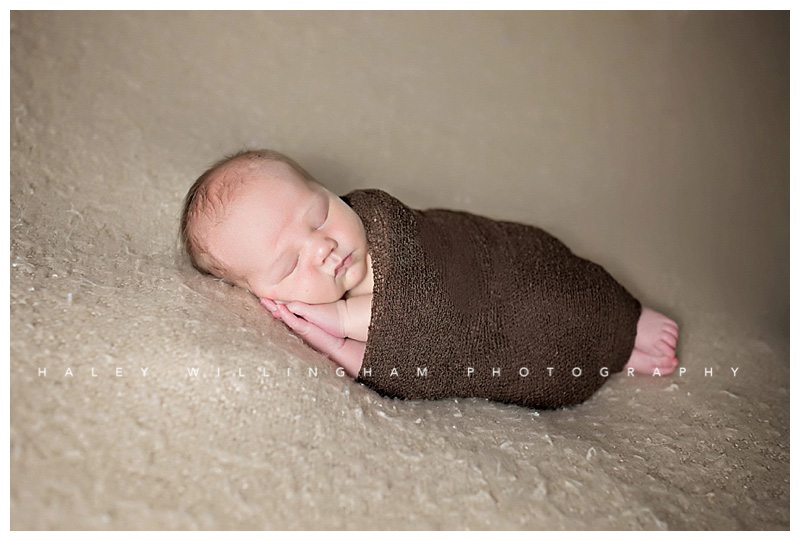 Winchester VA Newborn Photographer