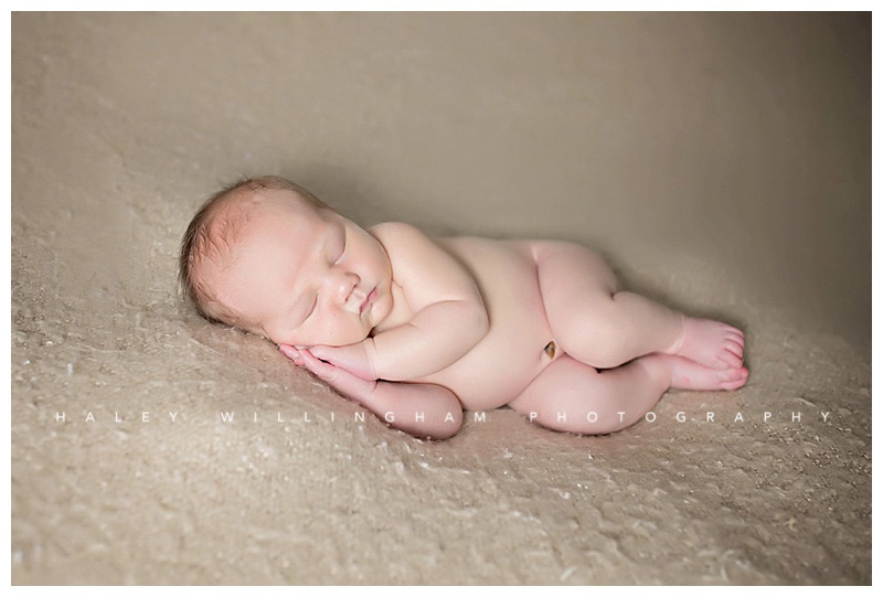 Winchester VA Newborn Photographer