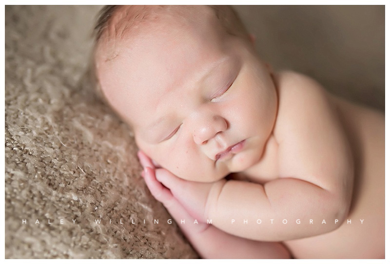 Winchester VA Newborn Photographer