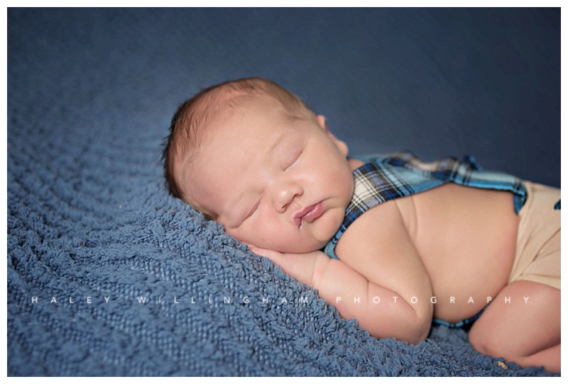 Winchester VA Newborn Photographer